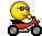 scooter.jpg