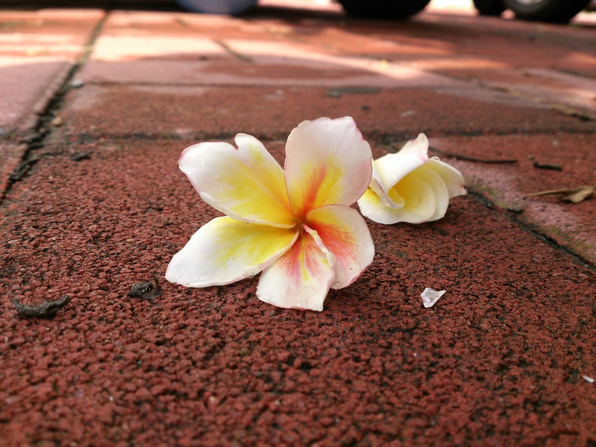 Posted Image