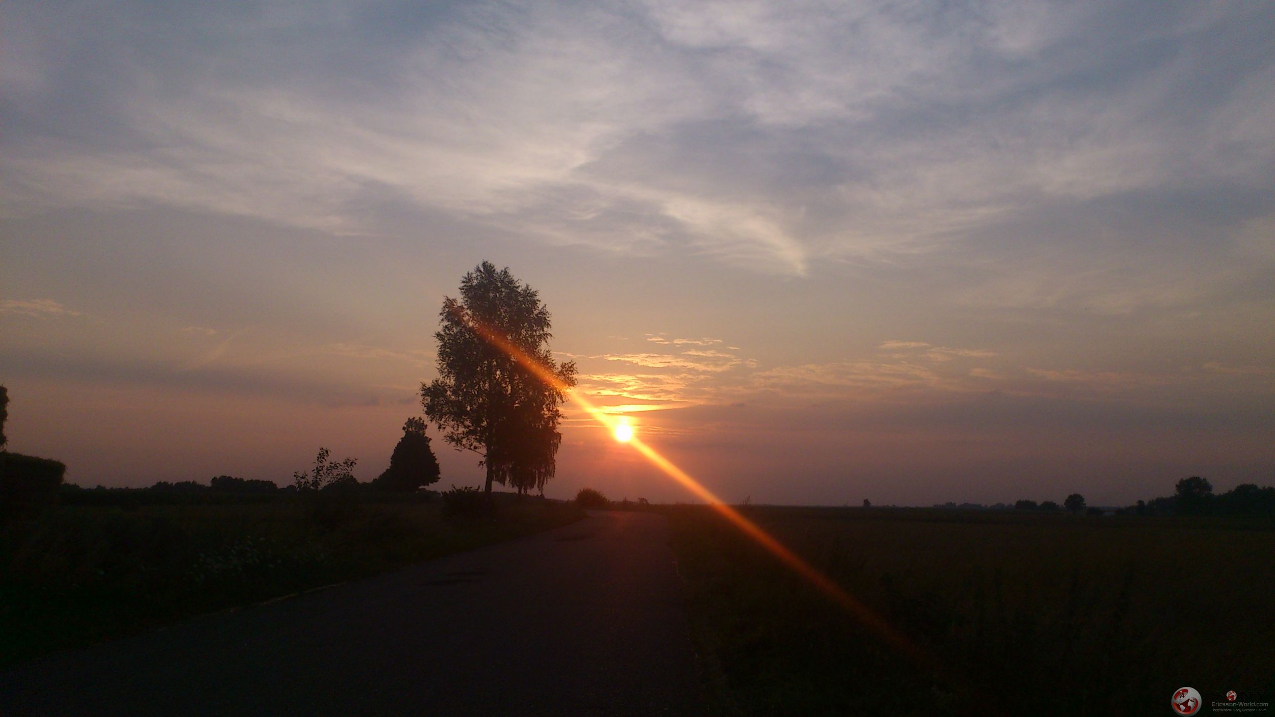 Posted Image