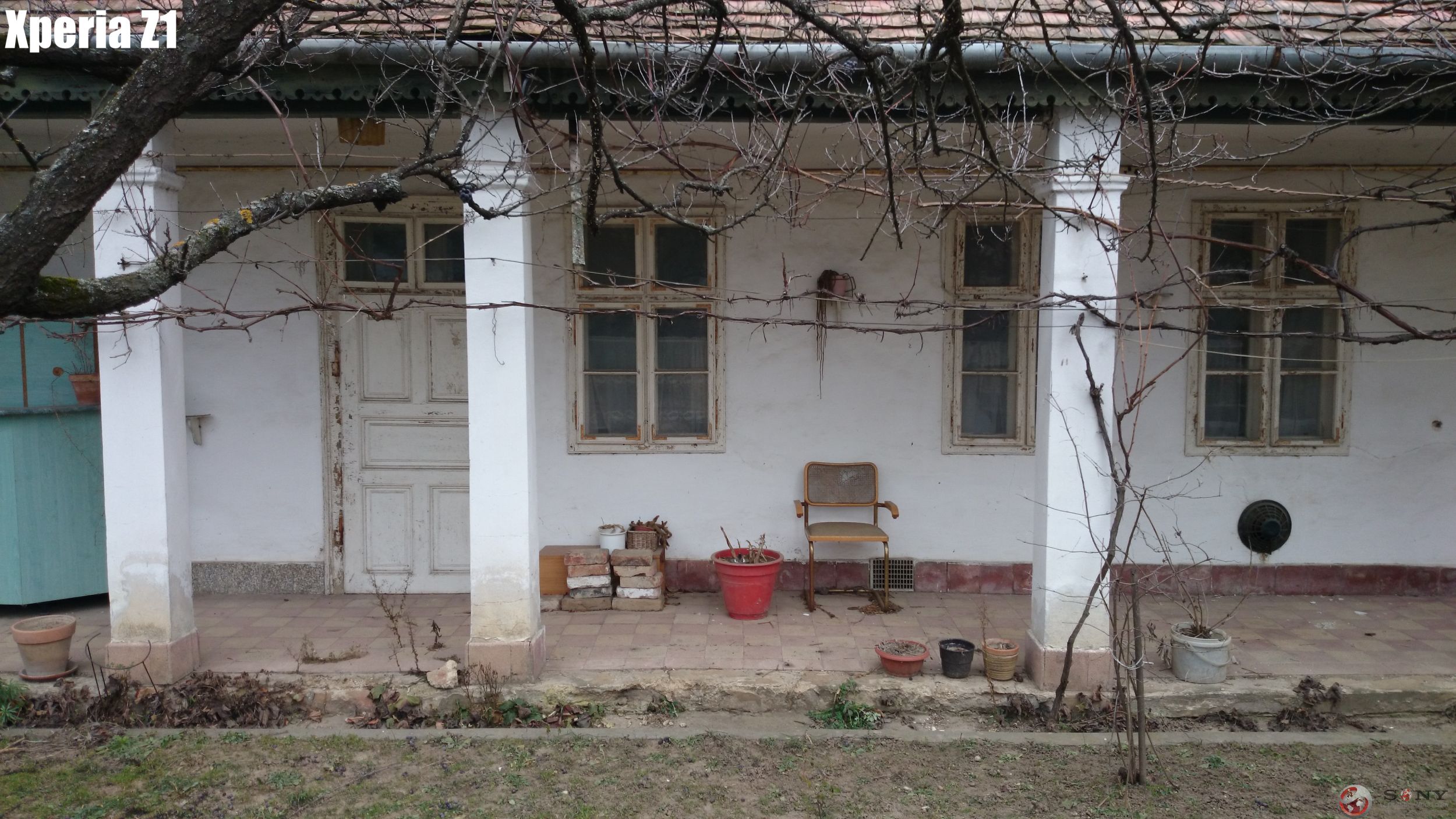 Posted Image