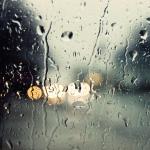 diasko's Photo