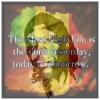 Ras Krash's Photo